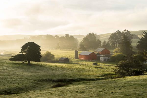 Apple Garden Farm Limited Edition picture