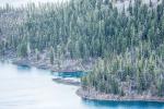 Water Meets Trees