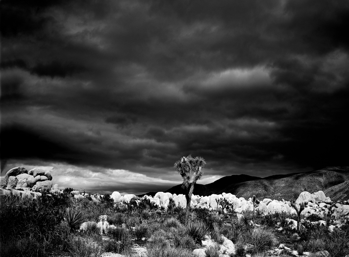 Storm in Joshua Tree BW picture