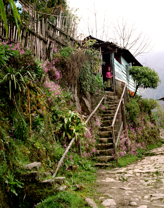 Tashi at Home, West Bangal,  India picture