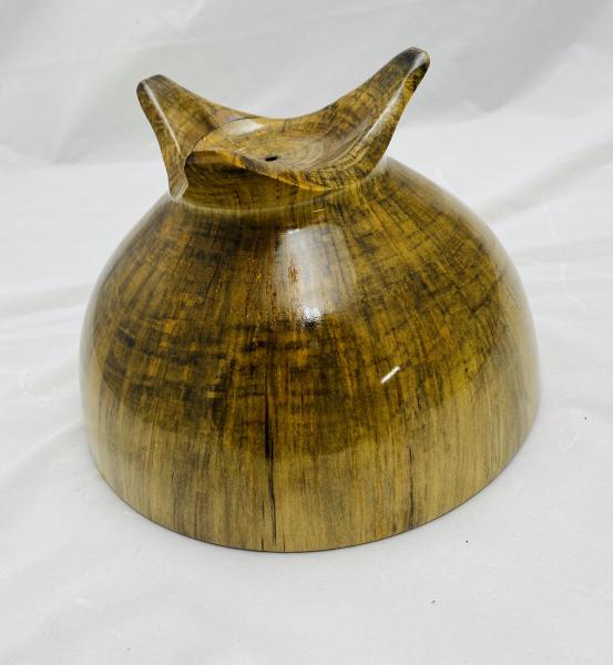 Norfolk Island Pine Footed bowl picture