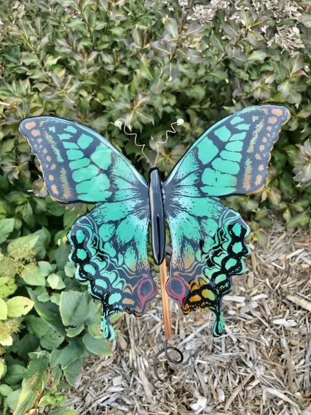 Tickle Me Teal Butterfly picture