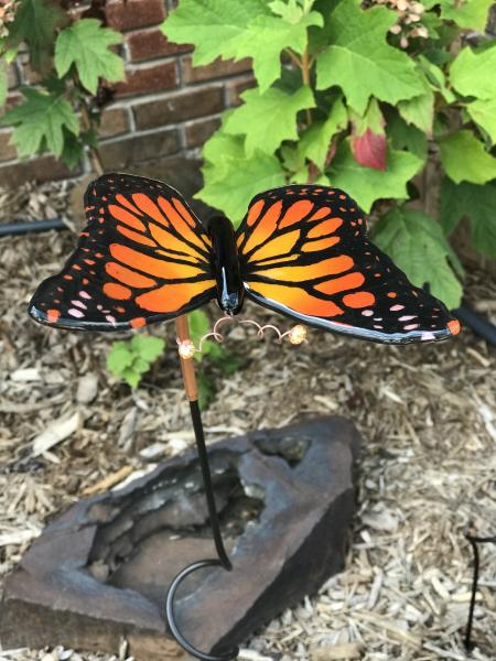 Monarch Butterfly picture