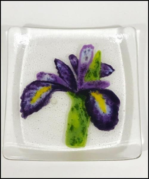 Iris Dish picture