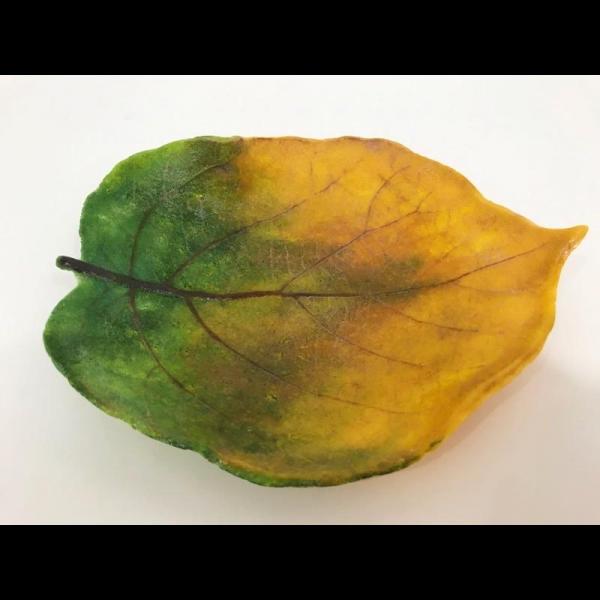 Aspen Leaf picture