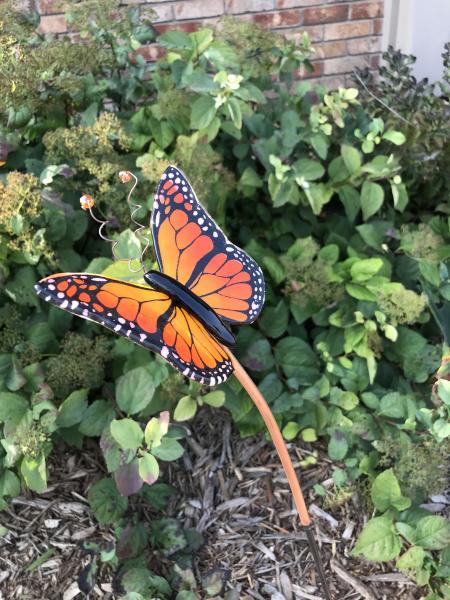 Monarch Butterfly picture