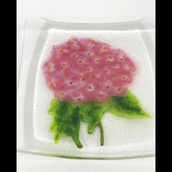 Pink Hophead Hydrangea picture