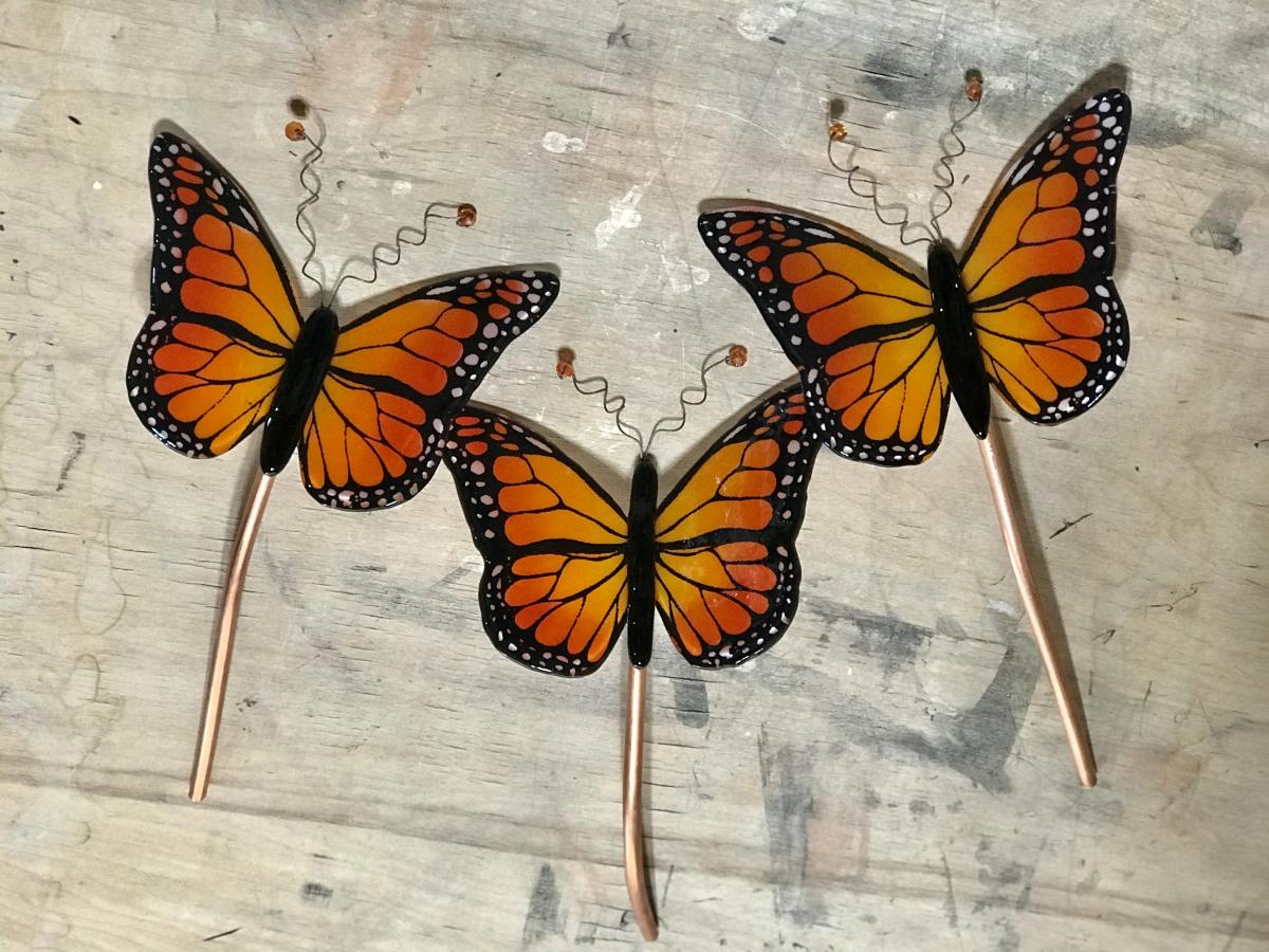 Monarch Butterfly picture