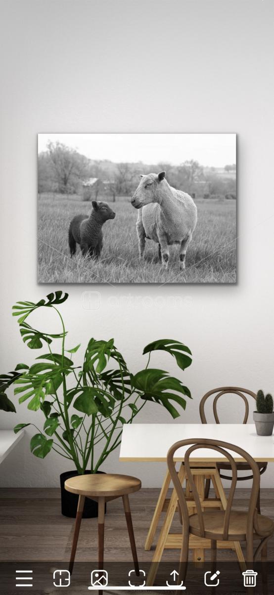 Fleece, Love & Happiness (24x36 on WOOD) picture