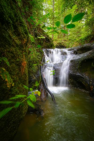 Big Basin Sempervirens Falls picture