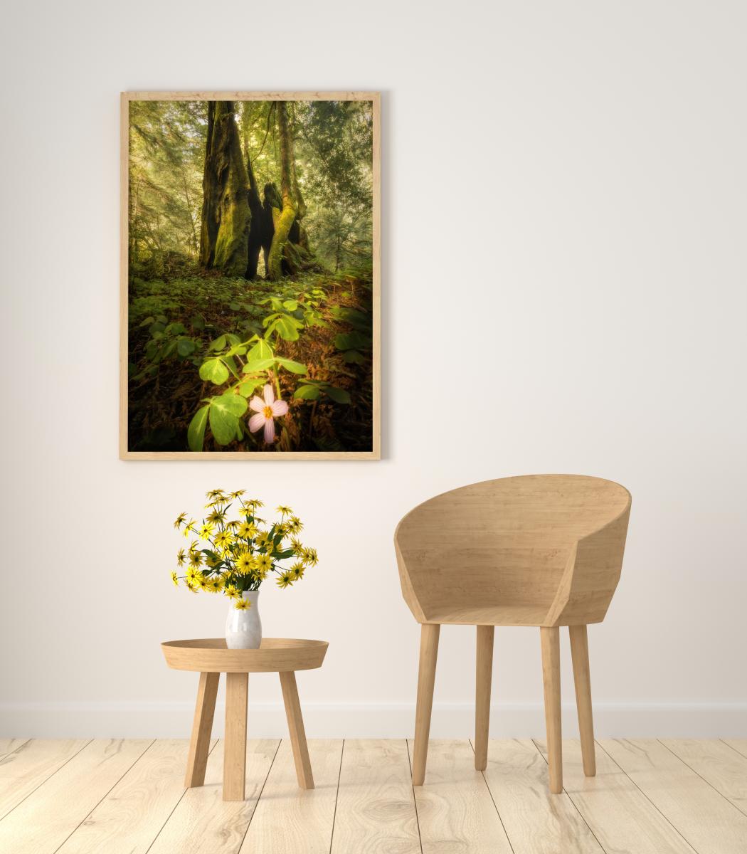 Enchanted Wizard Hat picture