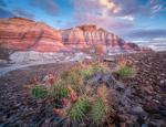 Painted Glow at Blue Mesa