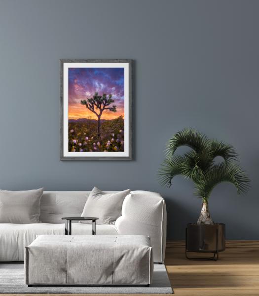 The Painted Joshua Tree picture