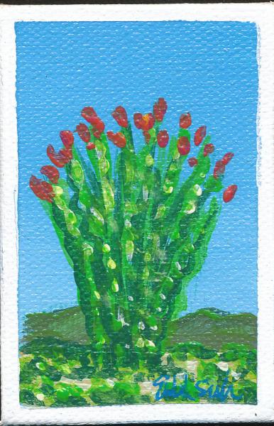 "Blooming Ocotillo"