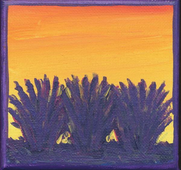 "Ocotillo Row"