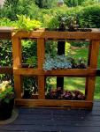 Herb Garden Stand