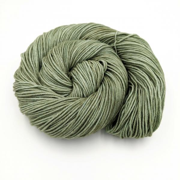 Thyme | Sprout DK picture