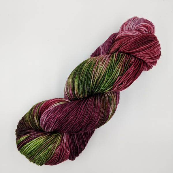 Candied Apple (k) | Sprout DK picture