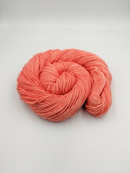 Georgia Peach | Sprout DK picture