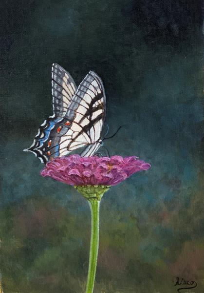 Butterfly on Purple Flower picture