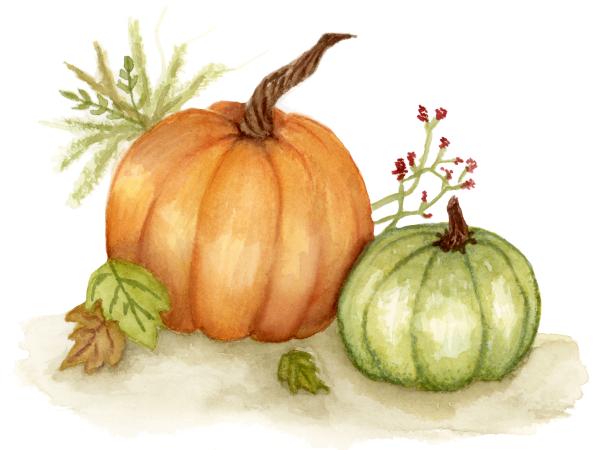 Fall Pumpkins