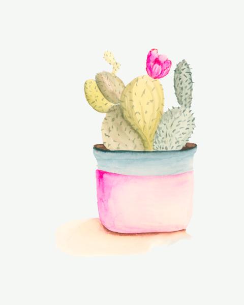 Cactus