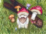 Mushroom Gnome
