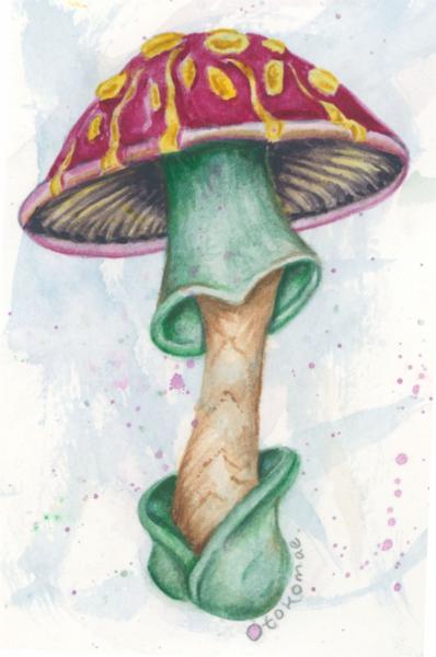 Otokomae Shroom