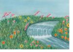 Field Stream