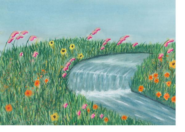Field Stream