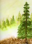 Mountain Trees