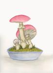 Red Mushrooms