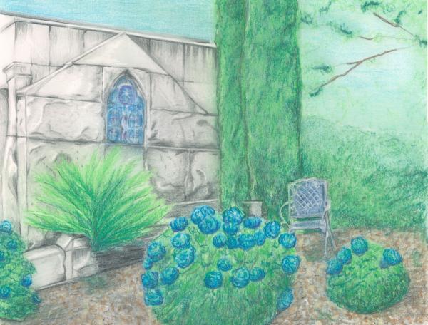 Oakland Cemetery Hydrangeas