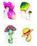 Anime Mushrooms