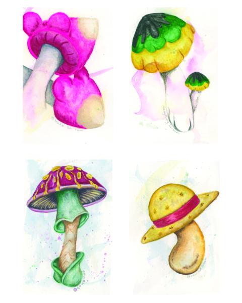 Anime Mushrooms