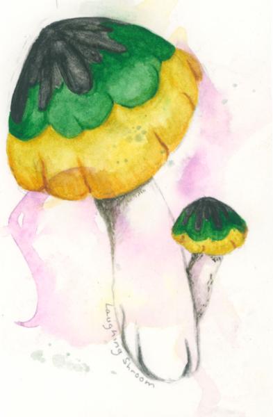Laughing Shroom