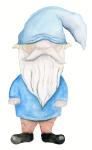 Blue Gnome