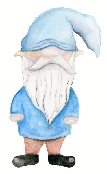 Blue Gnome