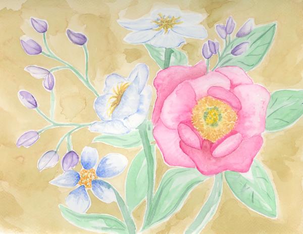 Pink Peony Flower