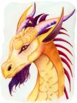 Yellow/Red Dragon