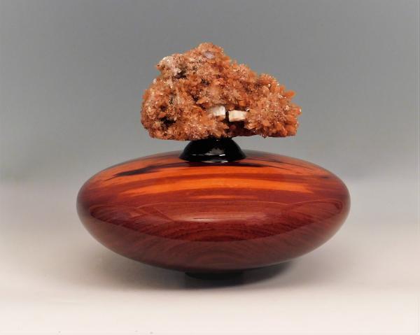 Cocobolo picture