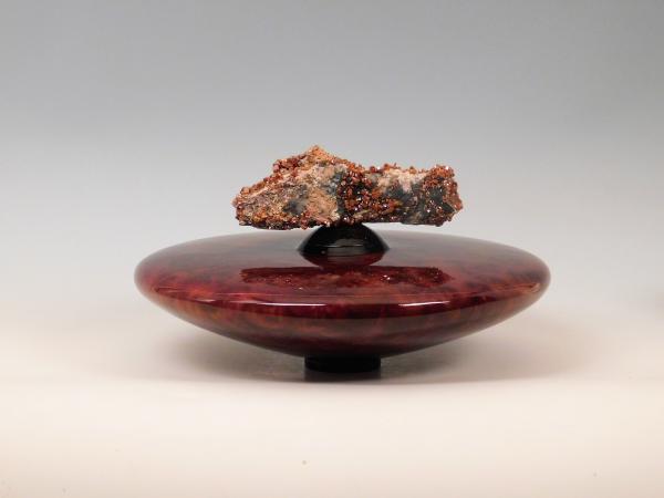 Camphor Burl picture