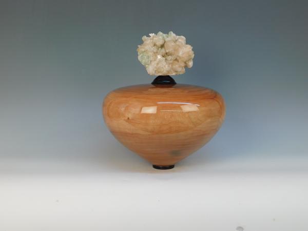 Camphor Burl picture