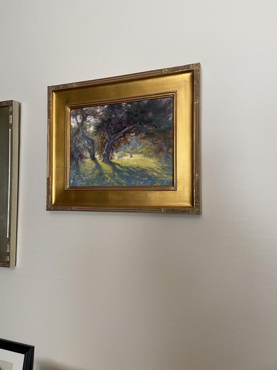 Big Sur Pasture, California picture