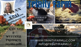 Trinity Farm Angoras