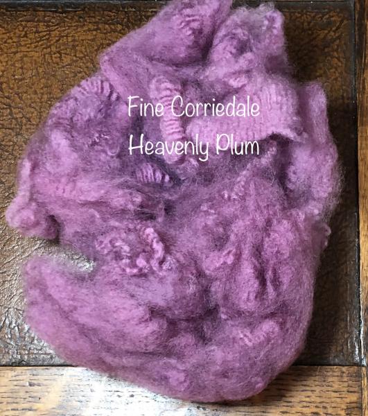 Heavenly Plum Colorway picture