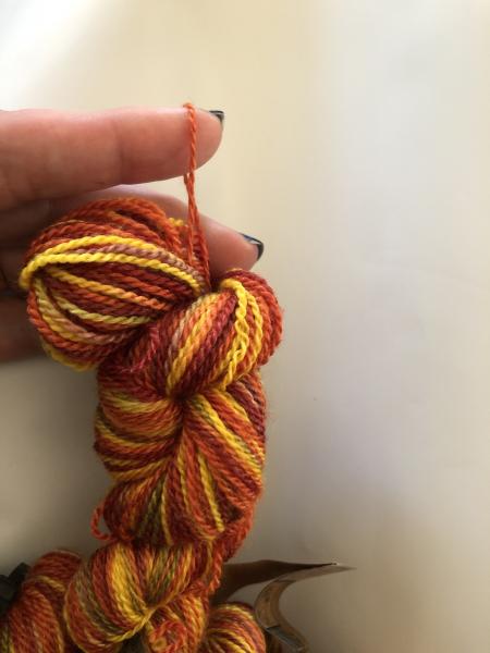 Autumn Colorway picture