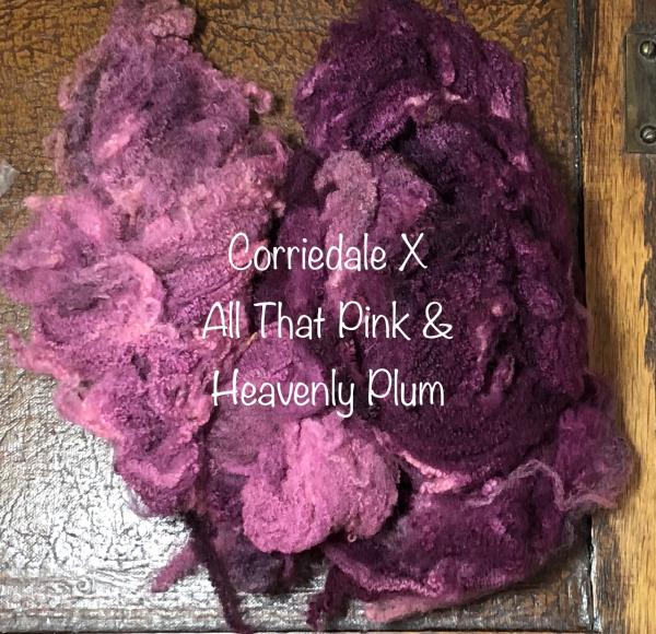 Heavenly Plum Colorway picture