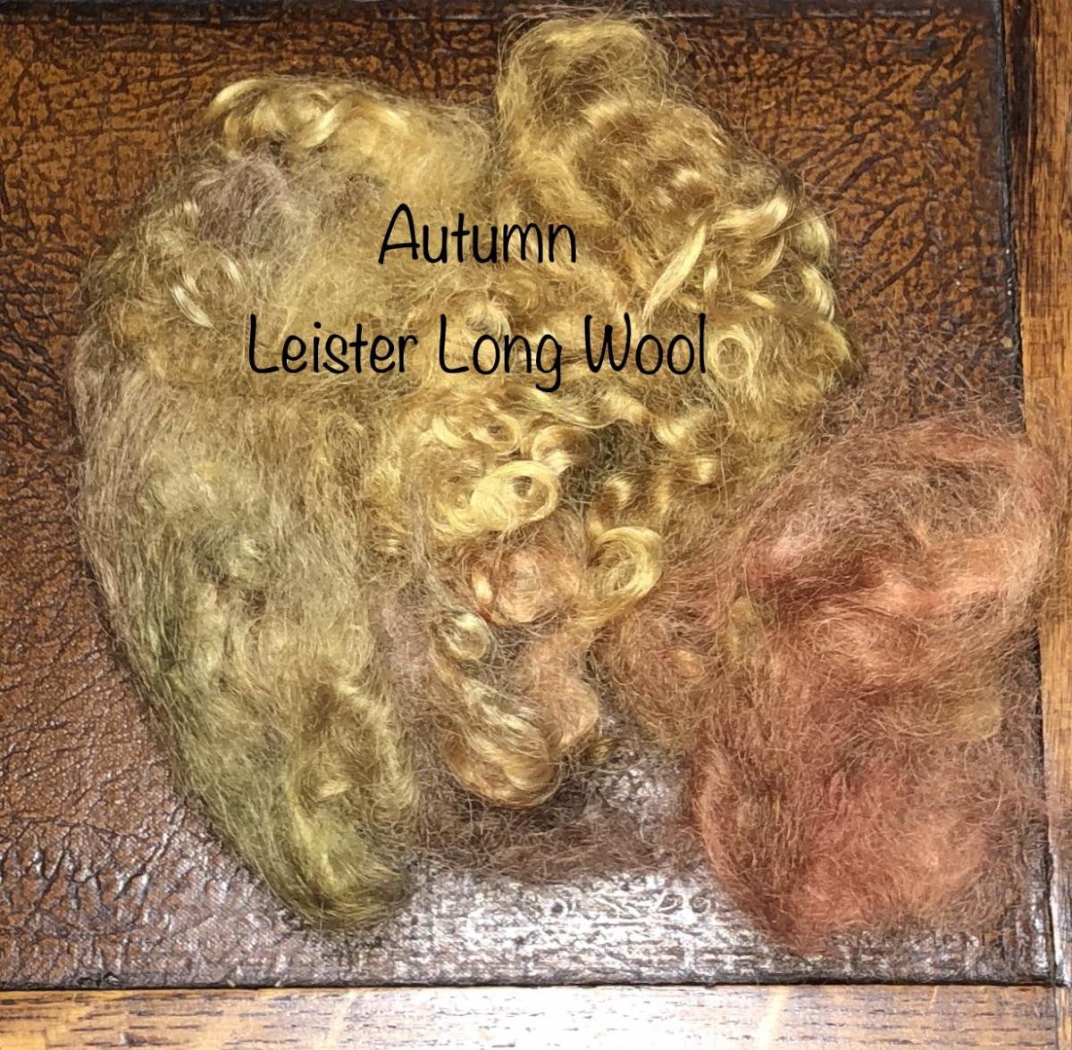 Autumn Colorway picture