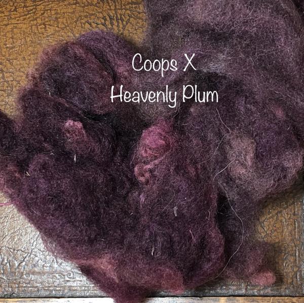 Heavenly Plum Colorway picture